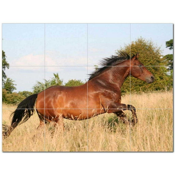 Horse Ceramic Tile Mural Kitchen Backsplash Bathroom Shower 402842-M43