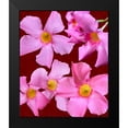 thumbnail image 2 of Tenoever, William 12x14 Black Modern Framed Museum Art Print Titled - Pink Flowers on Red, 2 of 5