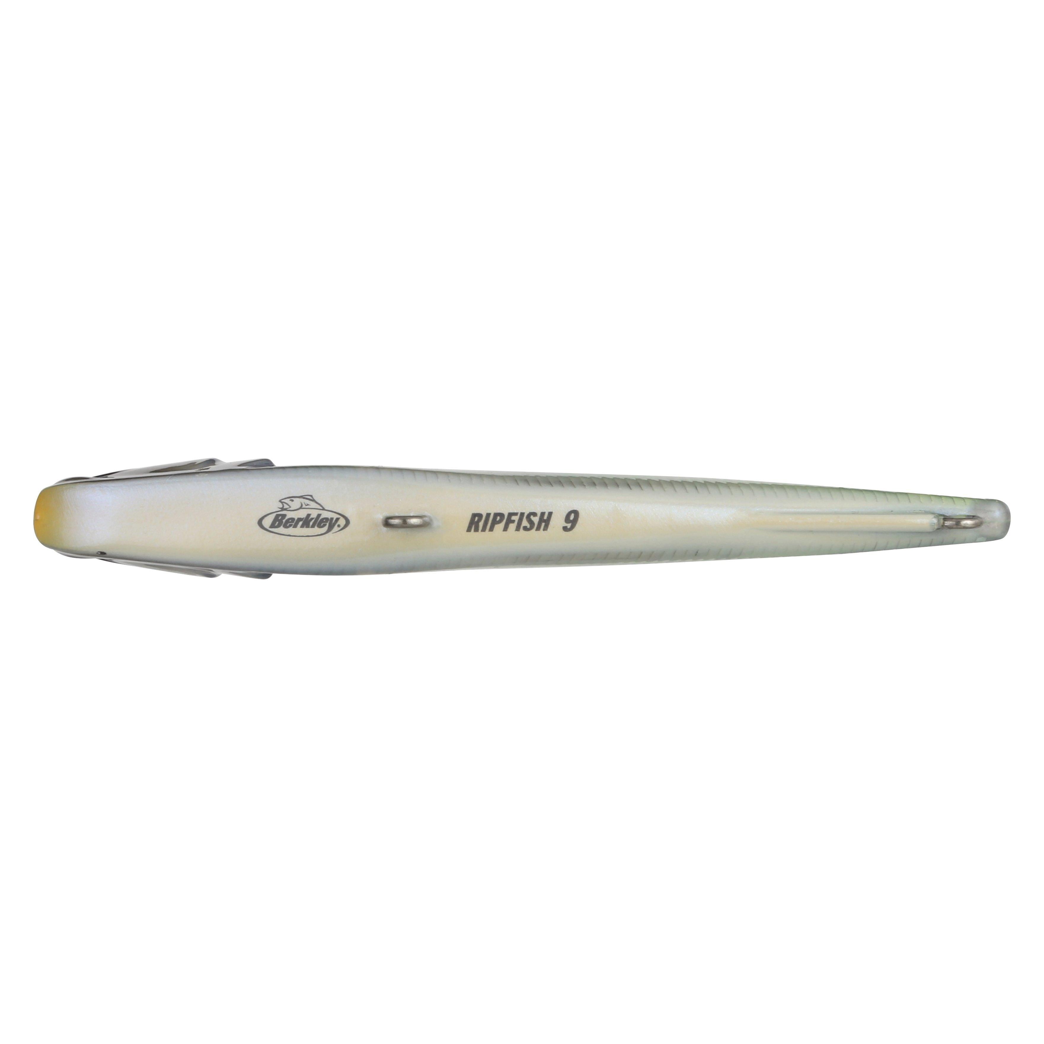 Berkley Ripfish, 9, Ghost Sexy Shad