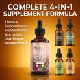 thumbnail image 3 of Para Defend Wormwood Black Walnut Cleanse Drops 3 Pack - Soursop, Garlic, Pumpkin Seed, Pau D'Arco, Oil of Oregano by Clean Nutra, 3 of 10