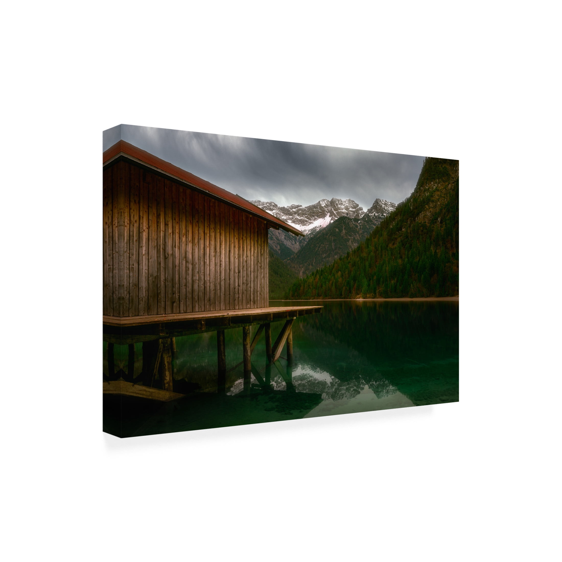 Trademark Fine Art Anastasios Gialopoulos The First Snow. Canvas Wall Art