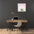 thumbnail image 3 of Bradley, Felicity 26x26 White Modern Wood Framed Museum Art Print Titled - Succulent Simplicity I on Pink, 3 of 4