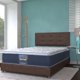 thumbnail image 2 of Colchón Individual Dormez 1 Almohada Songare 1 Almohada Serta memory foam 1 Juego de sabanas 1 Protector 1 Peluche 1 Bocina BT 1 Cama para mascotas Spring Sistem, 2 of 6