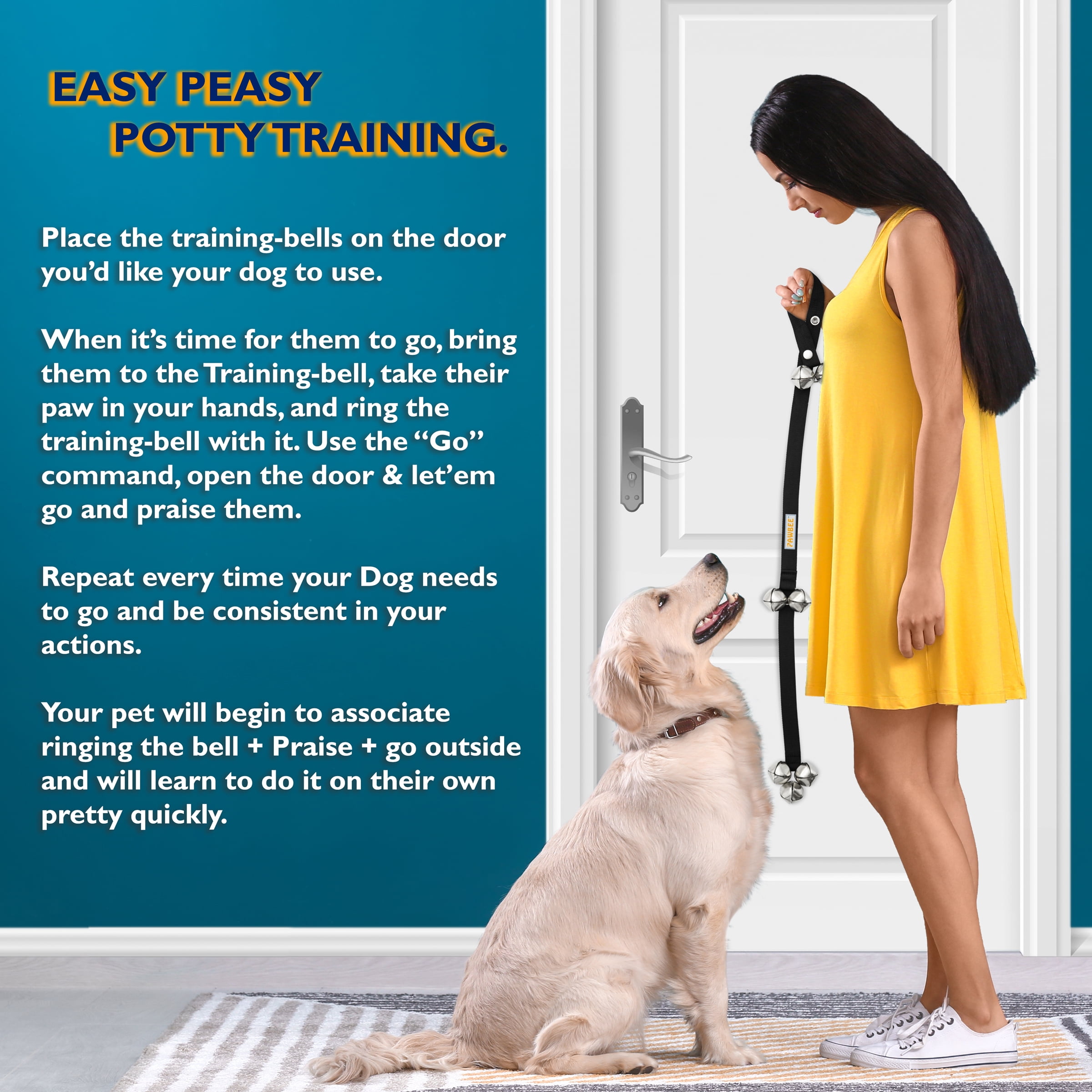 should-you-put-a-bell-on-your-dog