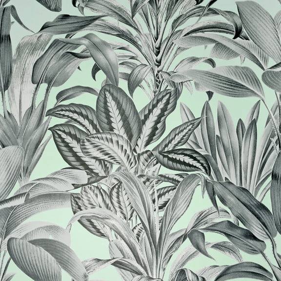 Greenhouse Plants Mint Wallpaper