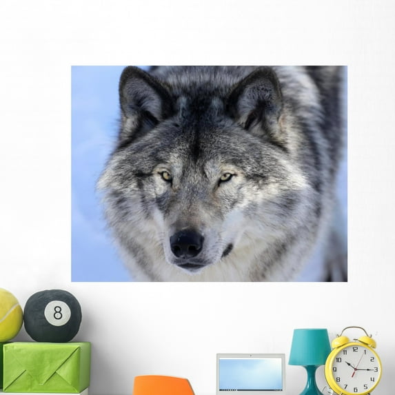 Face Face Wall Mural by Wallmonkeys Peel and Stick Graphic (48 in W x 38 in H) WM110840