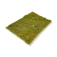 thumbnail image 2 of MERIGLARE Miniature Grass Cluster Miniature Plants Model Grasses for Sand Layout Model C, 2 of 9