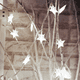 thumbnail image 5 of Cadena de luces LED para decoración de ventanas de bodas y festivales con forma de estrella de perla navideña, 5 of 5