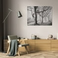 thumbnail image 3 of Vitaly Geyman 24x17 Gallery Wrapped Canvas Wall Art Titled - Tree in the Mist BandW, 3 of 4