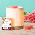 thumbnail image 4 of Apple Spice Crumb Cake Scented Wax Melts, Better Homes & Gardens, 2.5 oz (5-Pack), 4 of 8