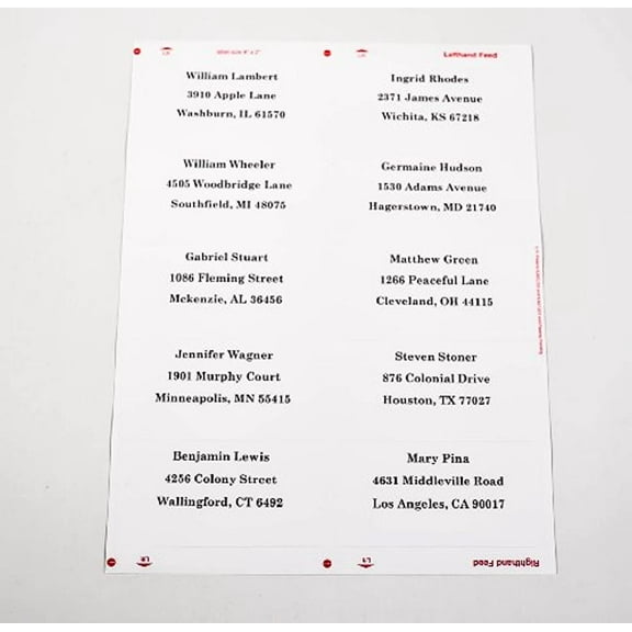 Compulabel 312107, 4" x 2" Labels (100 Sheets) Comparable to Avery® 5523™