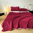 thumbnail image 1 of Tyidzon Bedding Flannel Fleece Throw Blanket Lightweight Warm and Soft Striped Couch and Bed Blanket Cozy Microfiber Ribbed Sofa Decor for All Season, 1 of 6