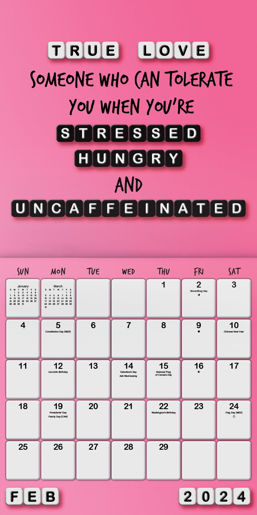 Trends International 2024 Everyday Sass Wall Calendar & Push Pins