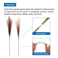thumbnail image 4 of 8Pcs Faux Pampas Grass 35.4" Tall 9 Branches Artificial Reed Fluffy Stems for Home Kitchen Vase Brown, 4 of 6