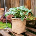 thumbnail image 4 of Basket Style Concrete Planter, 4 of 11