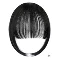 thumbnail image 1 of Nvzi Flequillo postizo - Flequillo postizo de clip para mujer, accesorio facial con borla preordenado, para uso diario, 1 pieza negra, 9.84-5.9 pulgadas, flequillo postizo de apariencia natural, 1 of 5