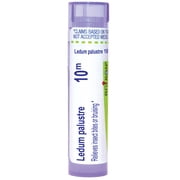 Boiron Ledum Palustre 10M, Homeopathic Medicine for Insect Bites Or Bruising Relief, 80 Pellets