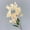 Beige, variant on 34.25" Artificial Daffodil Bouquets Set of 1, Faux Narcissus Flowers with Green Leaves & Unbloomed Buds, Fake Flowers for Home & Office Decor (Vase Not Included)