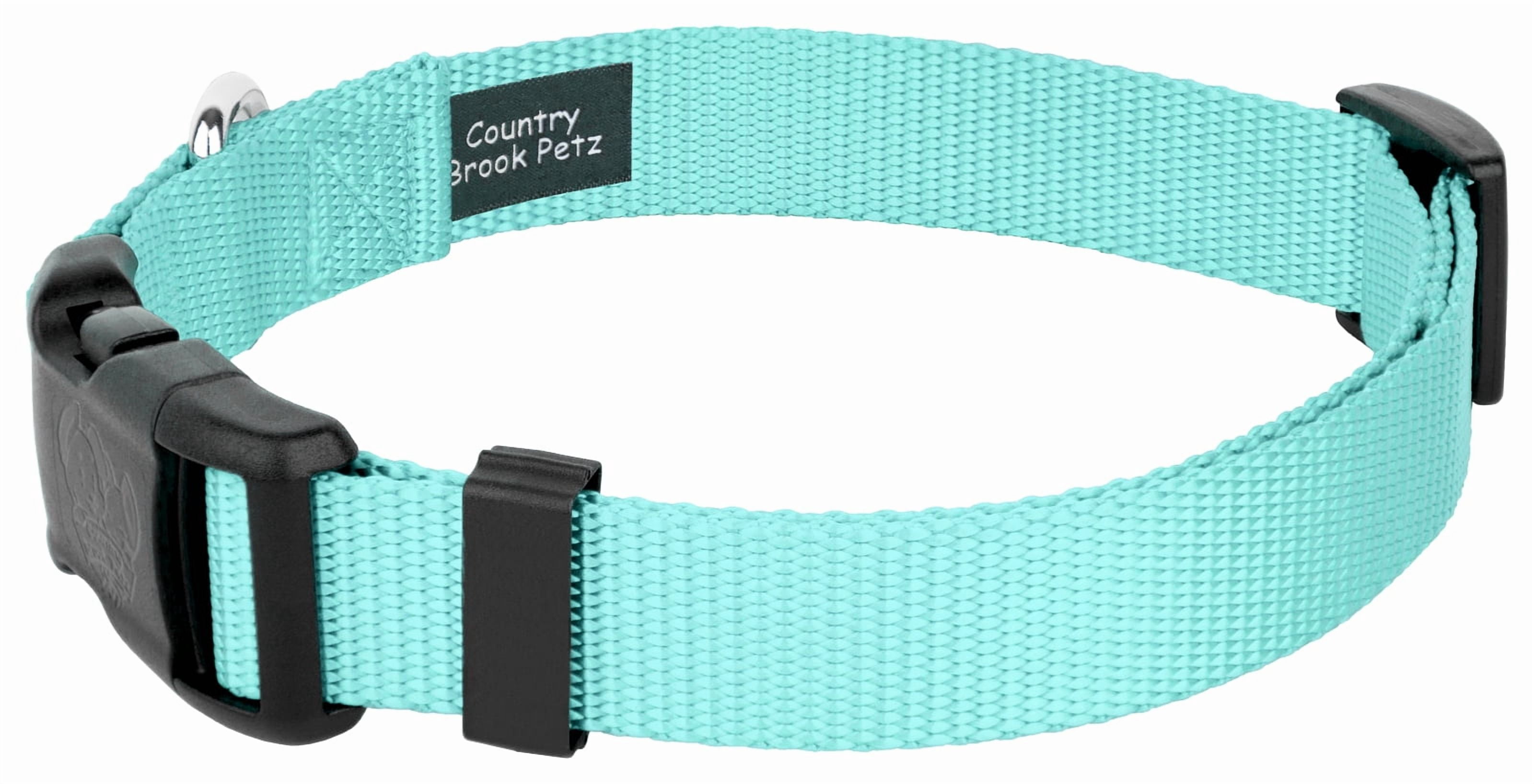 Country Brook Petz® Light Cyan Everyday Nylon Dog Collar and Leash, Medium