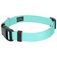 thumbnail image 6 of Country Brook Petz® Light Cyan Everyday Nylon Dog Collar and Leash, Small, 6 of 7