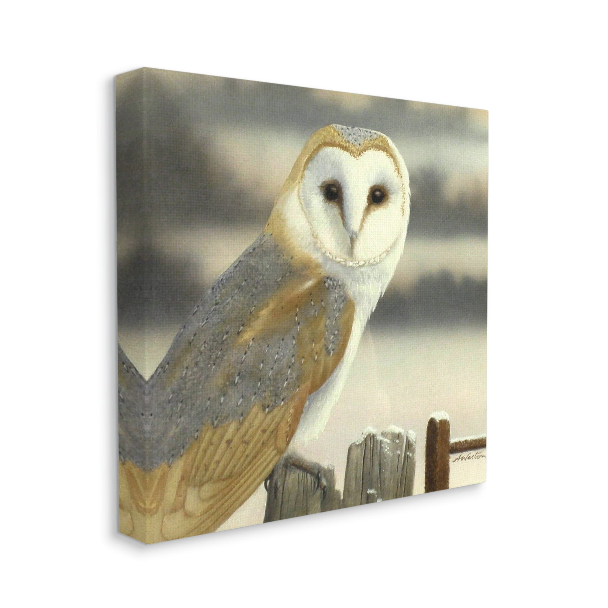 Stupell Industries Barn Owl Gazing Perched Niveous Rural Fence Painting Gallery Wrapped Canvas Print Wall Art, Design by Alan Weston
