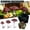 A001- Multicolor, variant on 3-Pack Red Glow-in-The-Dark Mushroom Figurines, Waterproof Resin Miniature Statues with Landscaping Stakes, Garden decorations Outdoor for Fairy Gardens, Patios, Yard Landscaping