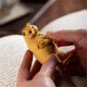 thumbnail image 3 of Carved Wooden Bear Statue Decoration - Realistic Animal Craft Gift for Home & Garden Decor, 3 of 5