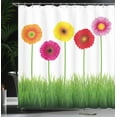 thumbnail image 4 of Ambesonne Gerber Daisy Shower Curtain, Vivid Flowers on Grass, 69"Wx84"L, Multicolor, 4 of 5