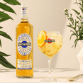 thumbnail image 2 of Martini & Rossi Floreale and Vibrante Mixed Pack, Non-Alcoholic Aperitivo Alcohol Free Drink | 2 PACK, 2 of 4