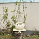 thumbnail image 2 of Maceta Con Forma Silla Oscilante Macetas Suculentas para Plantas Hamaca Resina Creativa Interior Y Exterior, 2 of 9