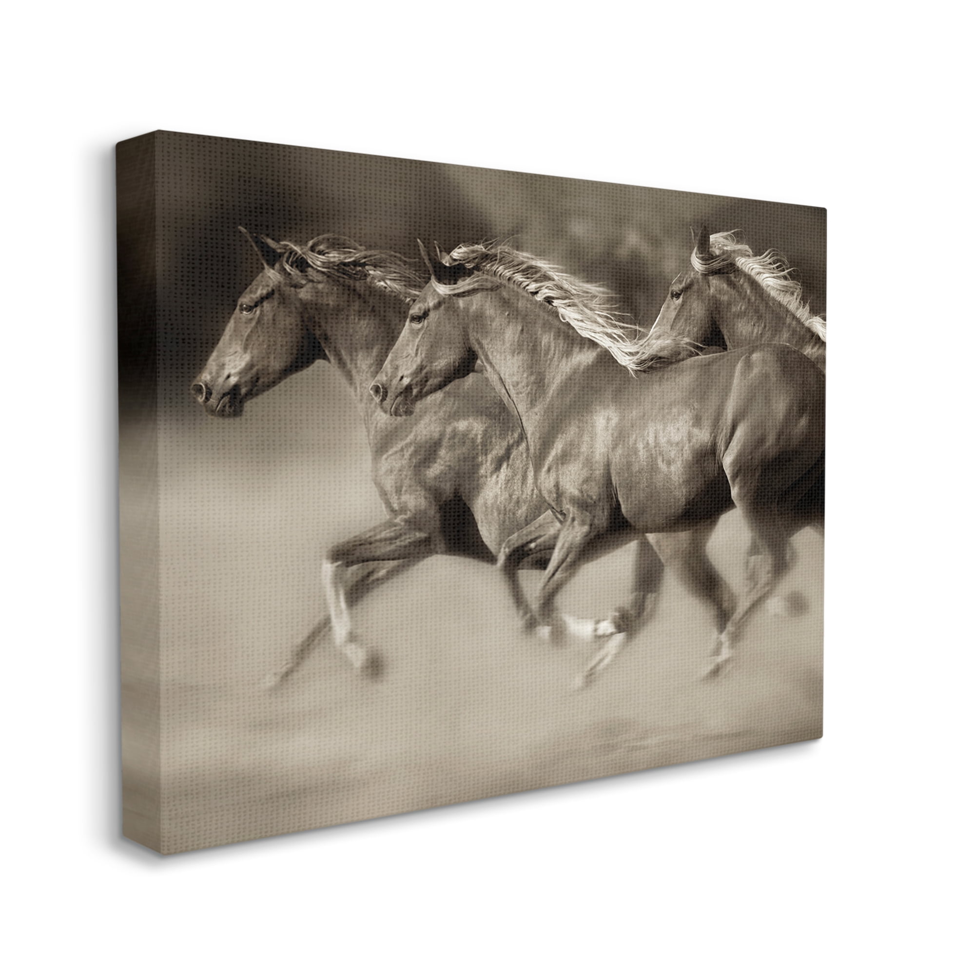Stupell Industries Galloping Horse Herd Trotting Wild Animal Photography Photograph Gallery Wrapped Canvas Print Wall Art, Design by Lisa Dearing