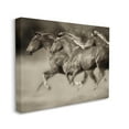 thumbnail image 3 of Stupell Industries Galloping Horse Herd Trotting Wild Animal Photography Photograph Gallery Wrapped Canvas Print Wall Art, Design by Lisa Dearing, 3 of 7