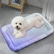 thumbnail image 2 of Alfombrilla refrescante para mascotas para perros y gatos | Almohadilla de frijol de hielo de verano Fibra de alta tecnología no tóxica | Transpirable, lavable a máquina, plegable | Multicolor, 2 of 7