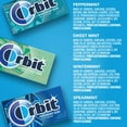 thumbnail image 6 of Orbit Sugar-Free Gum Mint Variety Pack, 14 Piece Packs, 18 Ct, 6 of 10