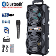 Dazone Dual 6.5" Woofer Portable FM Bluetooth Party Speaker Heavy Bass Sound Remote Control