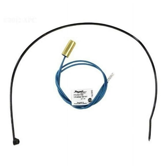 Raypak Sensor Water Raypak 010787F