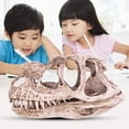 thumbnail image 1 of Dinosaur Skull Model, Practical Resin Dinosaur Skull, Gift Decoration For Living Room Office Desktop, 1 of 8