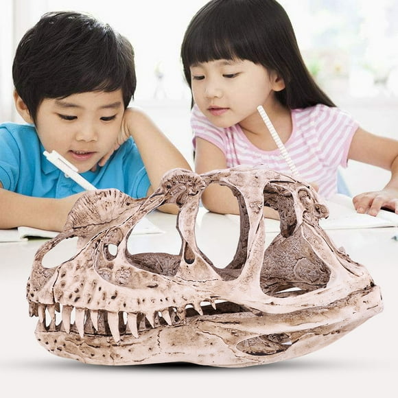 Dinosaur Skull, Resin Dinosaur Skull Model Skull Sculpture Resin Replica Head Skull SculptureFigurine Craft Teaching Prop Home Desktop Decor