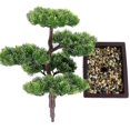 thumbnail image 5 of Árbol de bonsái artificial YONGSHENG planta de pino en maceta 29 x 10 x 33 cm, 5 of 5