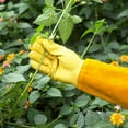 thumbnail image 3 of SUCCLACE Long-Gardening-Gloves for Women/Men - Thorn Proof Cowhide Leather Rose/Blackberry Pruning Heavy Duty Gloves Thick Palm Gauntlet Garden Work Gloves with Forearm Protection (Yellow-Small), 3 of 12