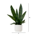 thumbnail image 2 of Nearly Natural 16in. Artificial Sansevieria Snake Plant with Decorative Planter , Green, 2 of 5