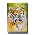 thumbnail image 1 of Epic Graffiti 'Sumatran Tiger' by Barbara Keith, Canvas Wall Art, 18"x26", 1 of 2
