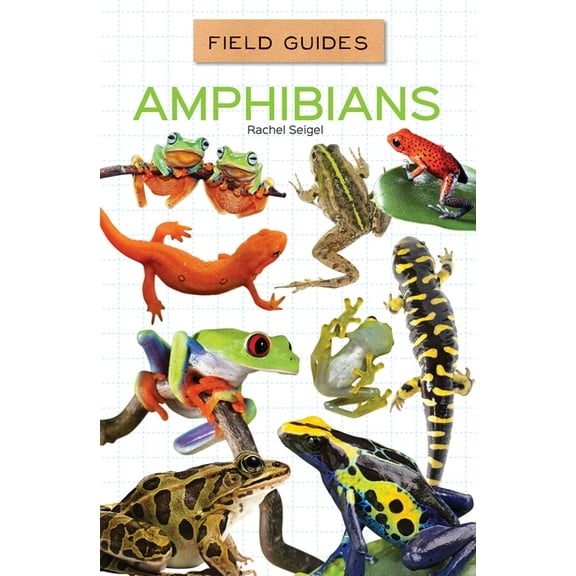 Field Guides Set 3 Amphibians, (Hardcover)
