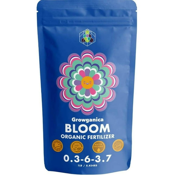 Bloom