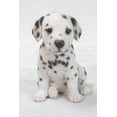 thumbnail image 2 of Hi-Line Gift Ltd Dalmatian Puppy Statue, 2 of 5