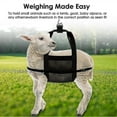 thumbnail image 2 of Animal Weighing Sling with Adjustable Straps for Calves and Lambs, 2 of 5