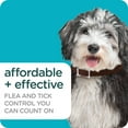 thumbnail image 2 of SERGEANT'S GUARDIAN Pro Flea & Tick Collar for Dogs, 1 Count, 2 of 6
