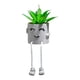 thumbnail image 1 of Plantas suculentas en maceta Plantas suculentas artificiales Plantas en maceta TUNC Sencillez, 1 of 3