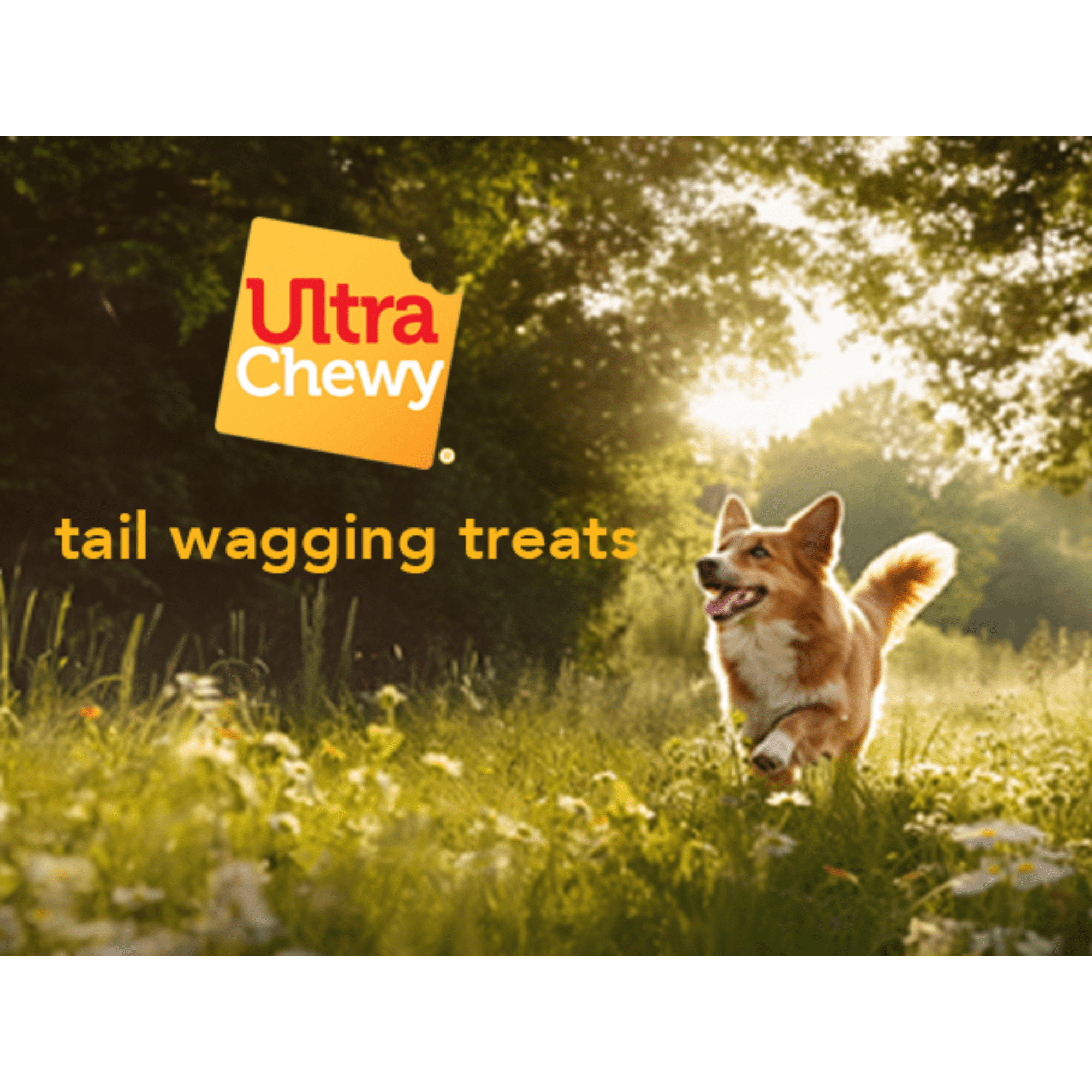 Ultra Chewy Collagen Sticks 5-7 inches (25 Pack)