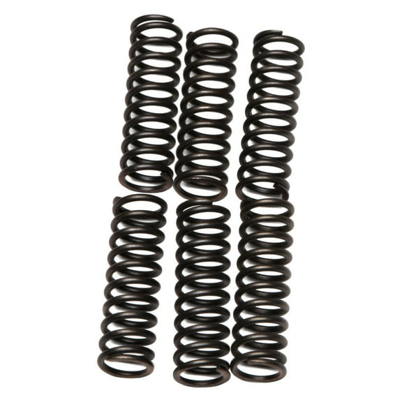 EBC CSK Series Heavy Duty Clutch Spring Kit